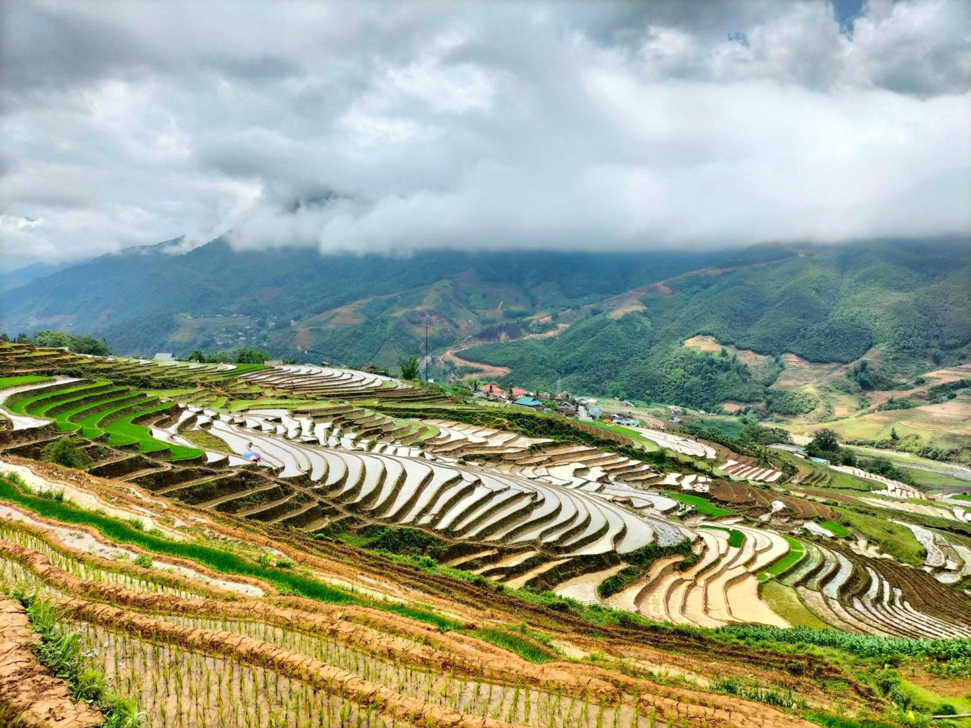 Muong Hoa Hmong Homestay سابا الغرفة الصورة