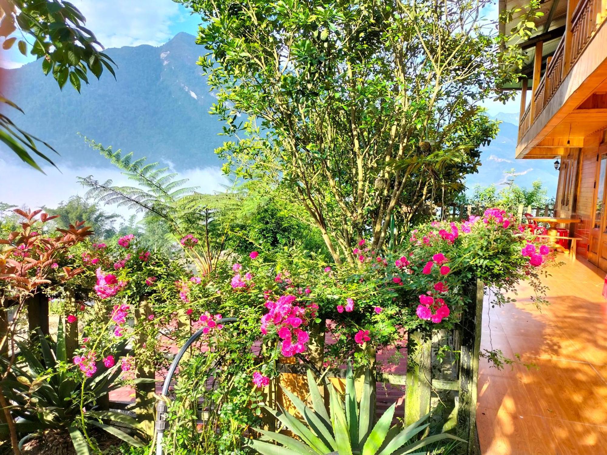Muong Hoa Hmong Homestay سابا الغرفة الصورة